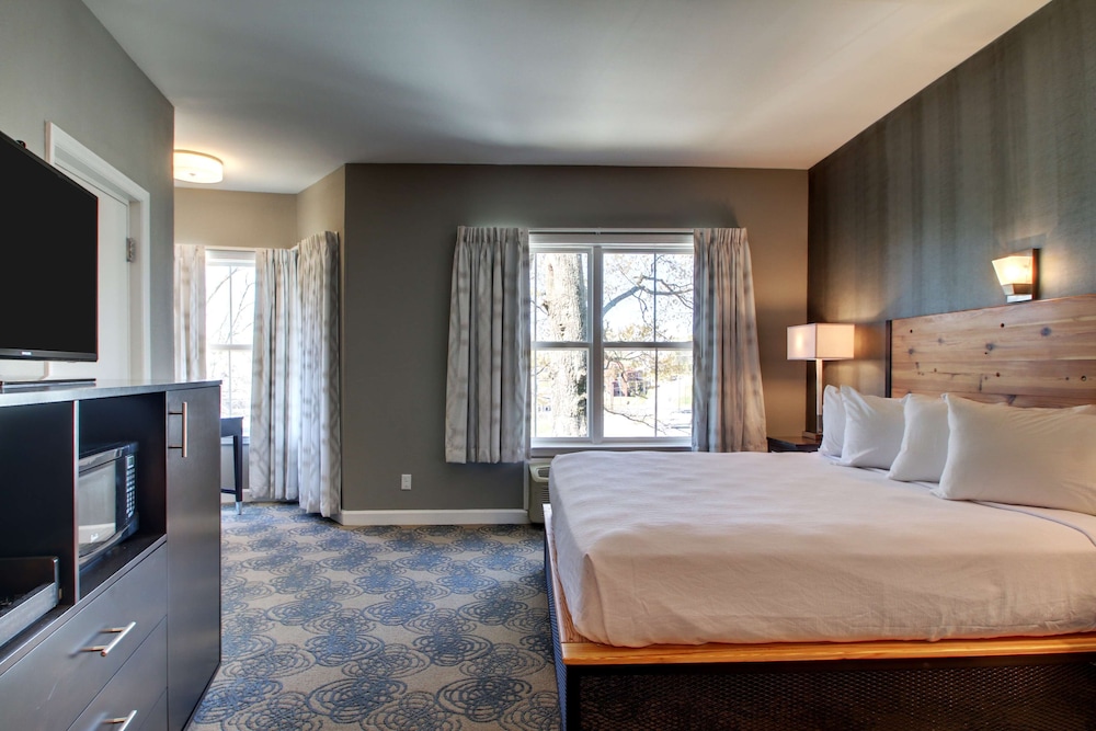 Standard Room, 1 King Bed, Non Smoking, Refrigerator & Microwave