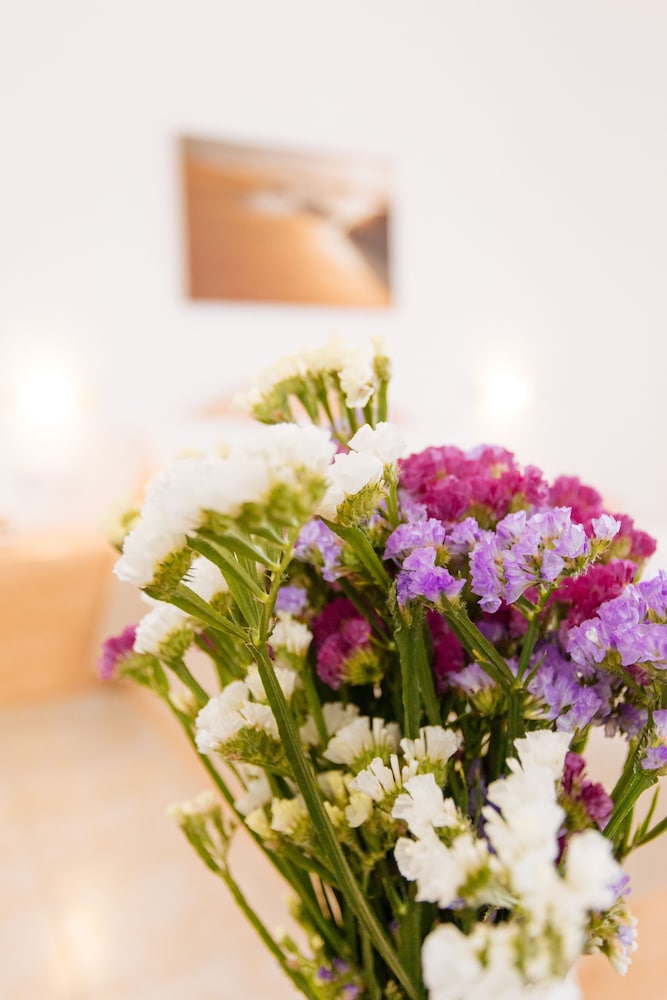 Suite - Photo 10