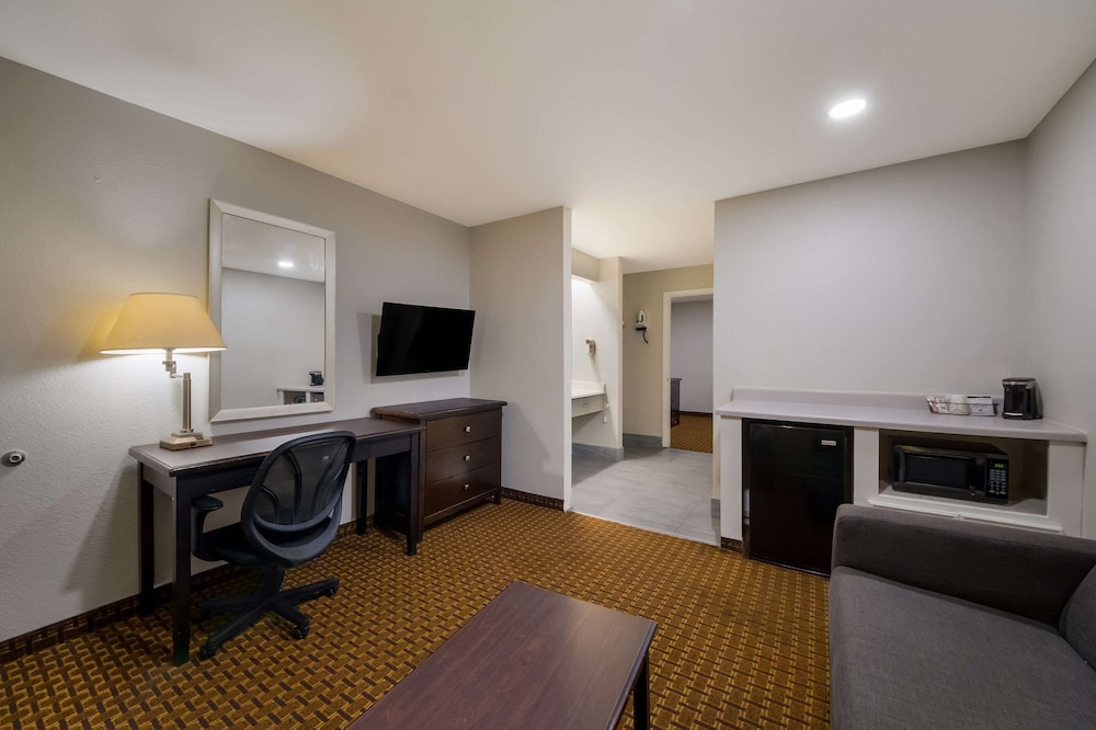 Basic Suite, Non Smoking (1 King Bed with 2 Person Sofa bed) - Photo 11