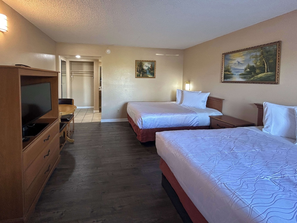 Standard Suite, 2 Double Beds, Non Smoking, Kitchen