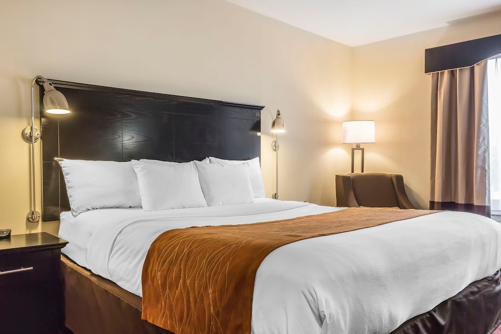 Standard Room, 1 King Bed, Non Smoking - Photo 6
