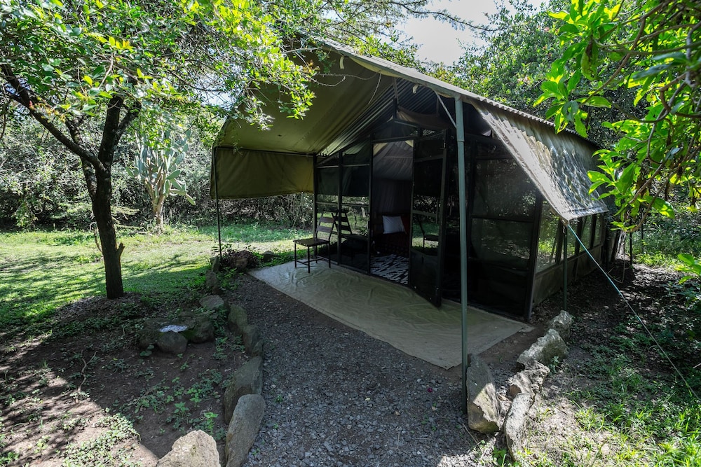 Tent, 1 Bedroom, Accessible photo 1