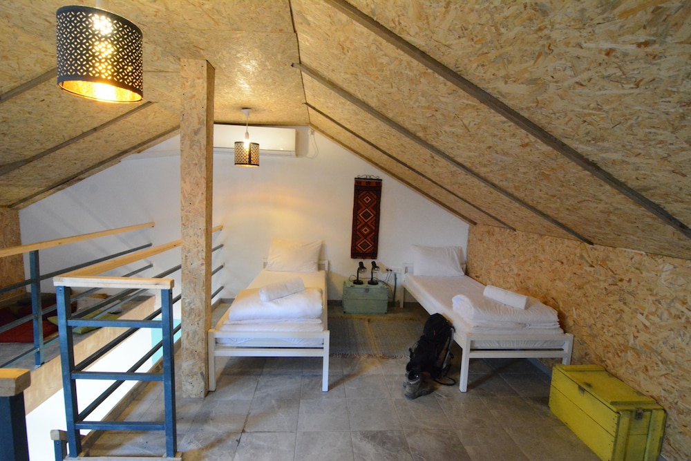 Shared Dormitory, Mixed Dorm photo 1