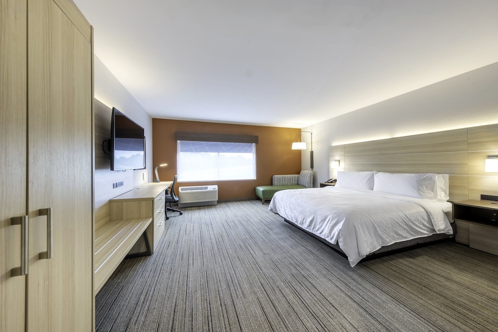 Suite, 1 King Bed - Photo 3