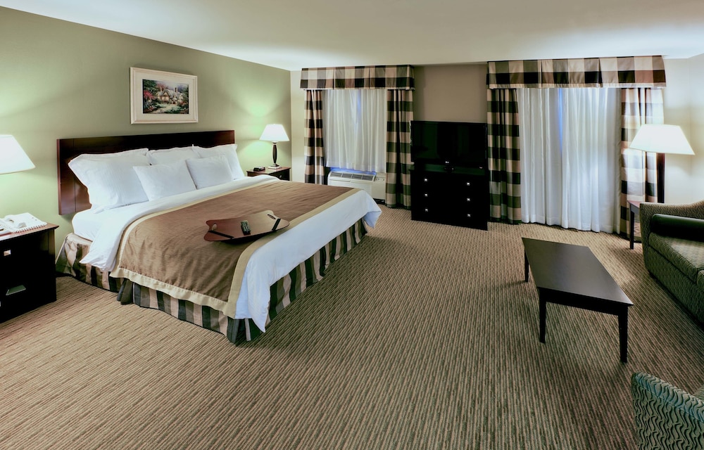 Suite, 1 King Bed, Accessible, Non Smoking - Photo 5