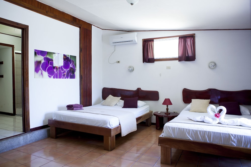 Standard Double Room, 2 Double Beds photo 3