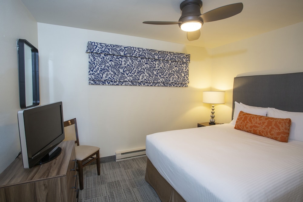 Standard Suite