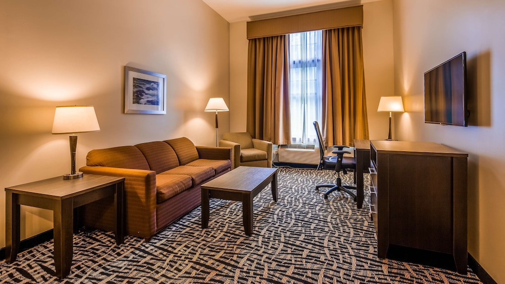 Room, 1 King Bed, Non Smoking, Jetted Tub (Walk-in Shower;with Sofabed)