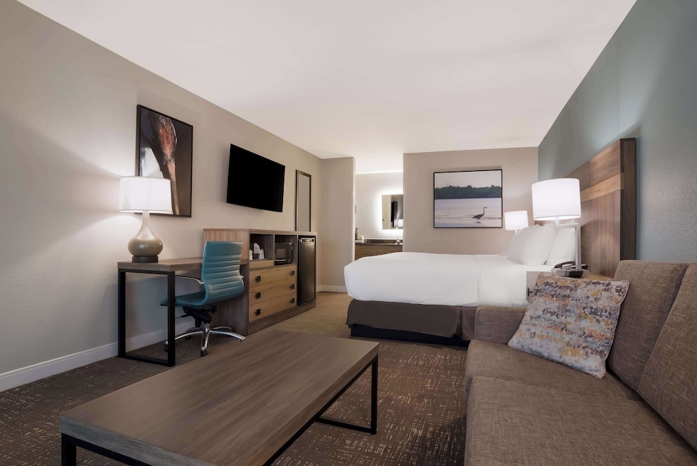 Standard Room, 1 King Bed, Non Smoking, Refrigerator & Microwave - Photo 3