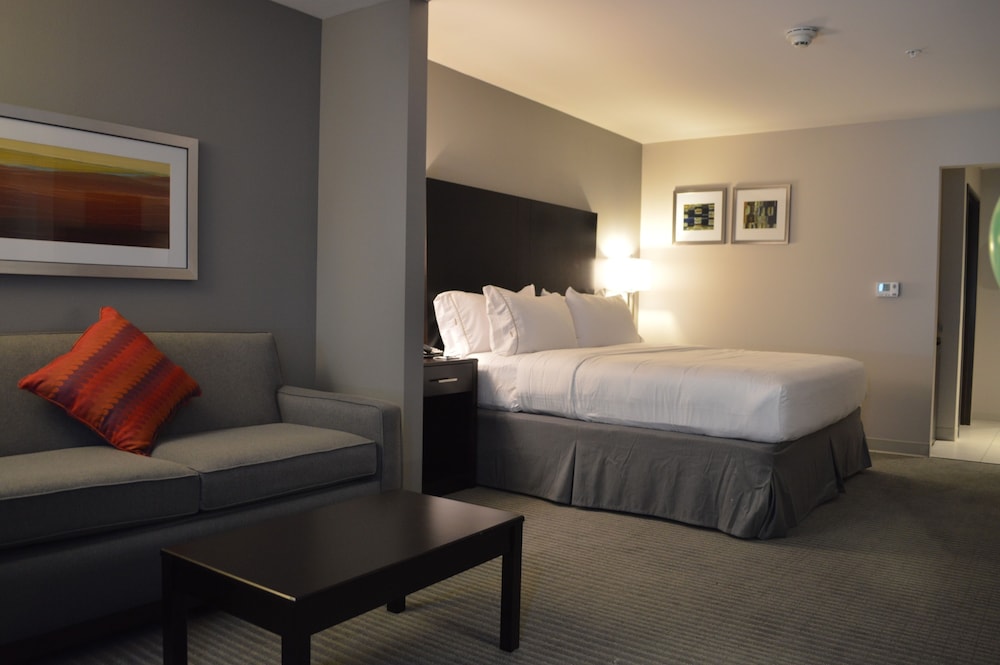 Suite, 1 King Bed photo 3