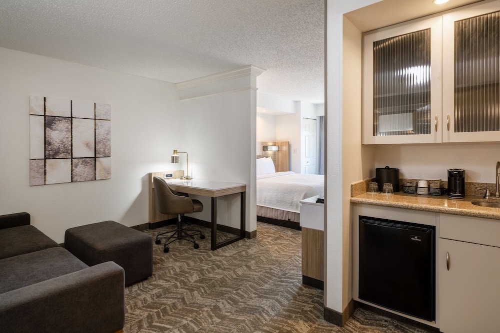 Suite, 1 King Bed with Sofa bed (Hearing Accessible) - Photo 2