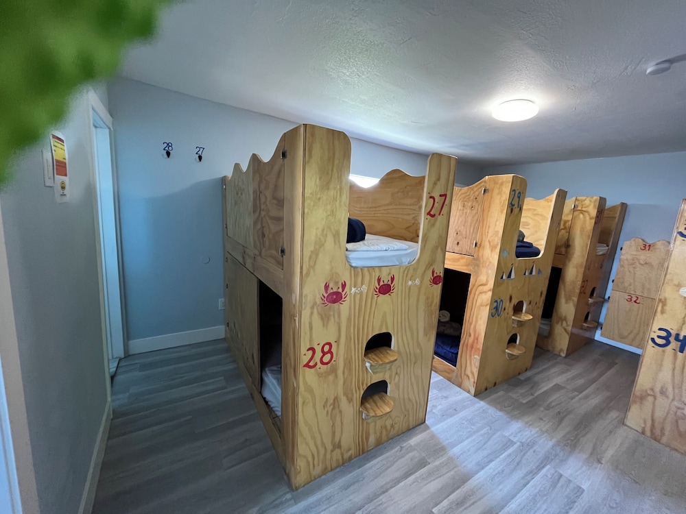 Basic Shared Dormitory photo 3