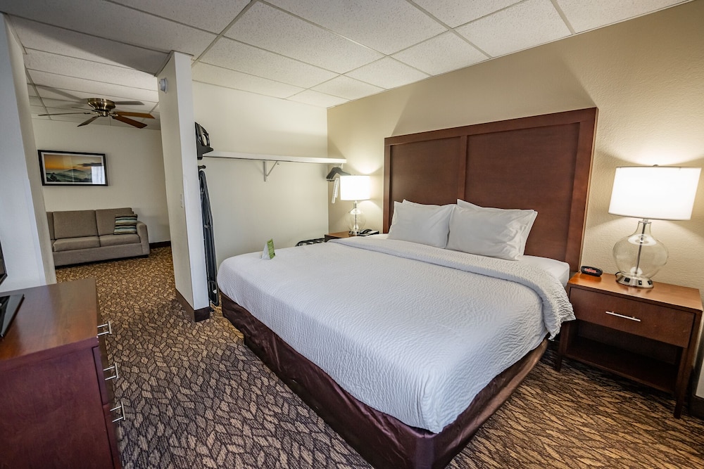 Deluxe Suite, 1 King Bed with Sofa bed
