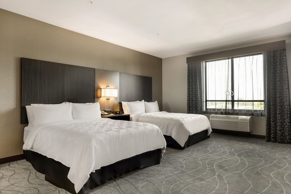 Suite, Multiple Beds photo 2