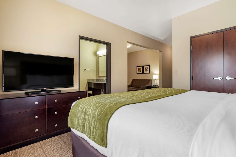 Suite, 1 King Bed, Non Smoking, Separate Seating Area and Wet Bar - Photo 3