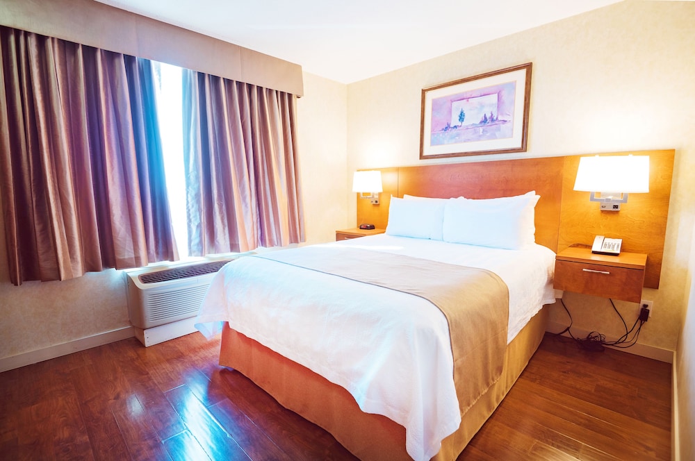 Executive Suite, 1 Bedroom photo 1