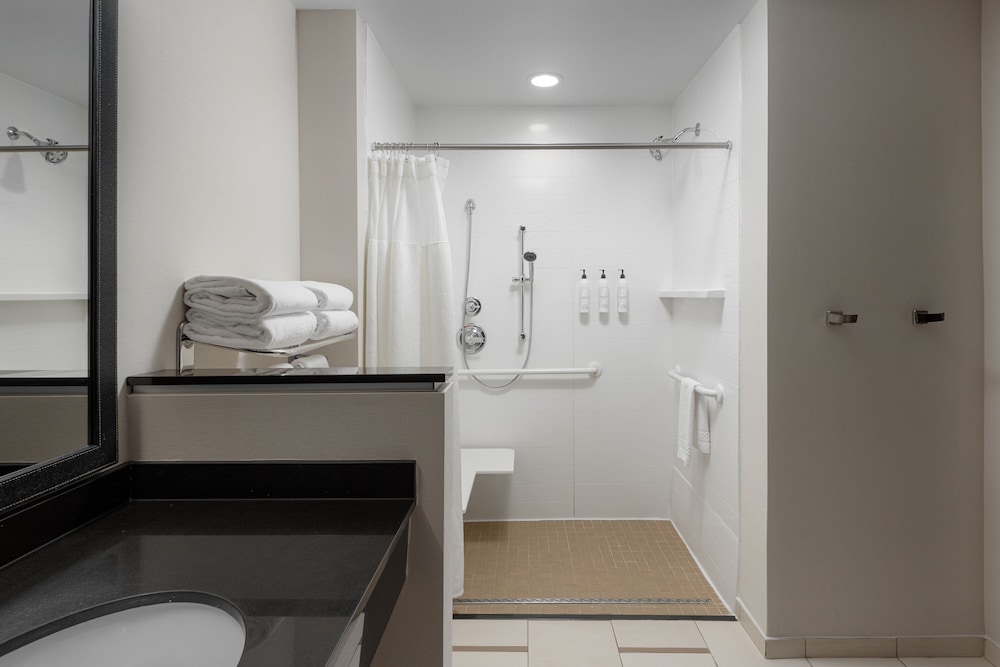 Suite, 1 King Bed with Sofa bed (Mobility Accessible, Roll-In Shower)