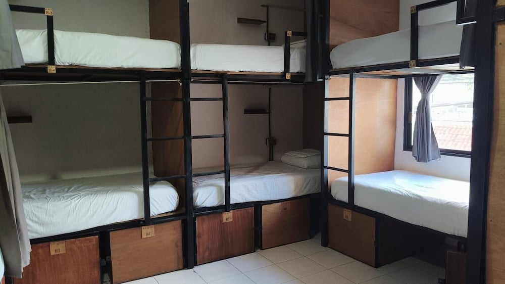 Basic Shared Dormitory photo 1