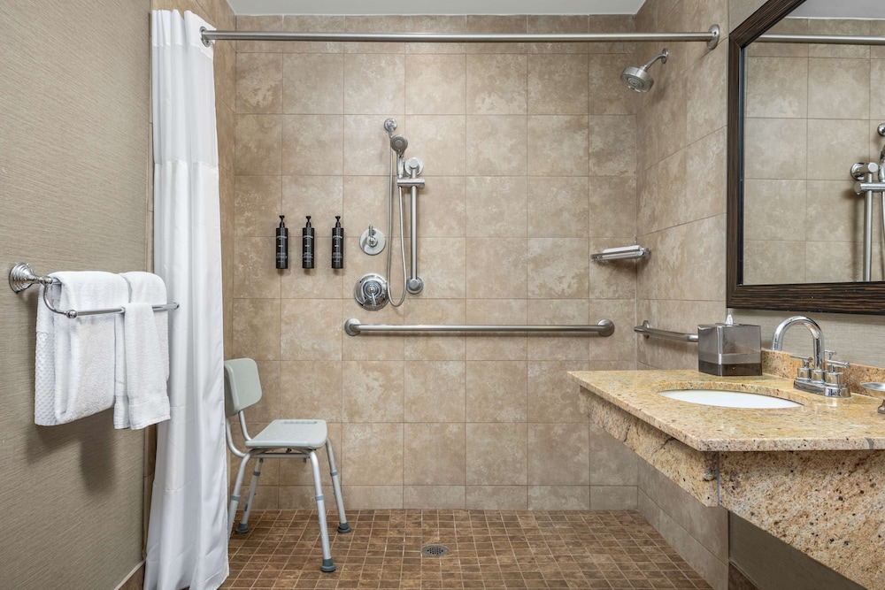 Room, 1 Queen Bed, Accessible (Roll-In Shower, Mobility & Hearing) photo 2