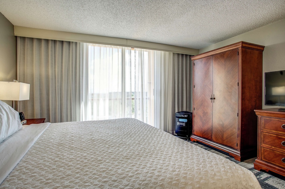 Suite, 1 King Bed, Allergy Friendly