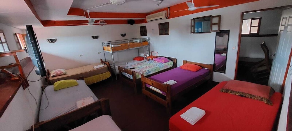 Comfort Shared Dormitory, Women only photo 1