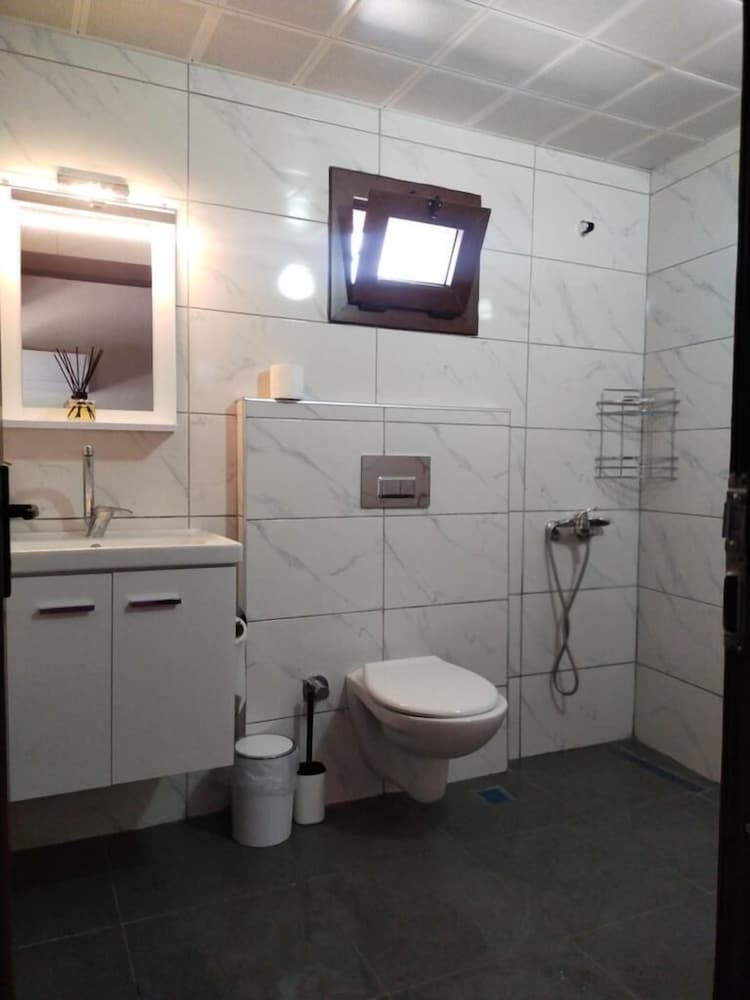 Basic Suite, 1 Bedroom photo 3