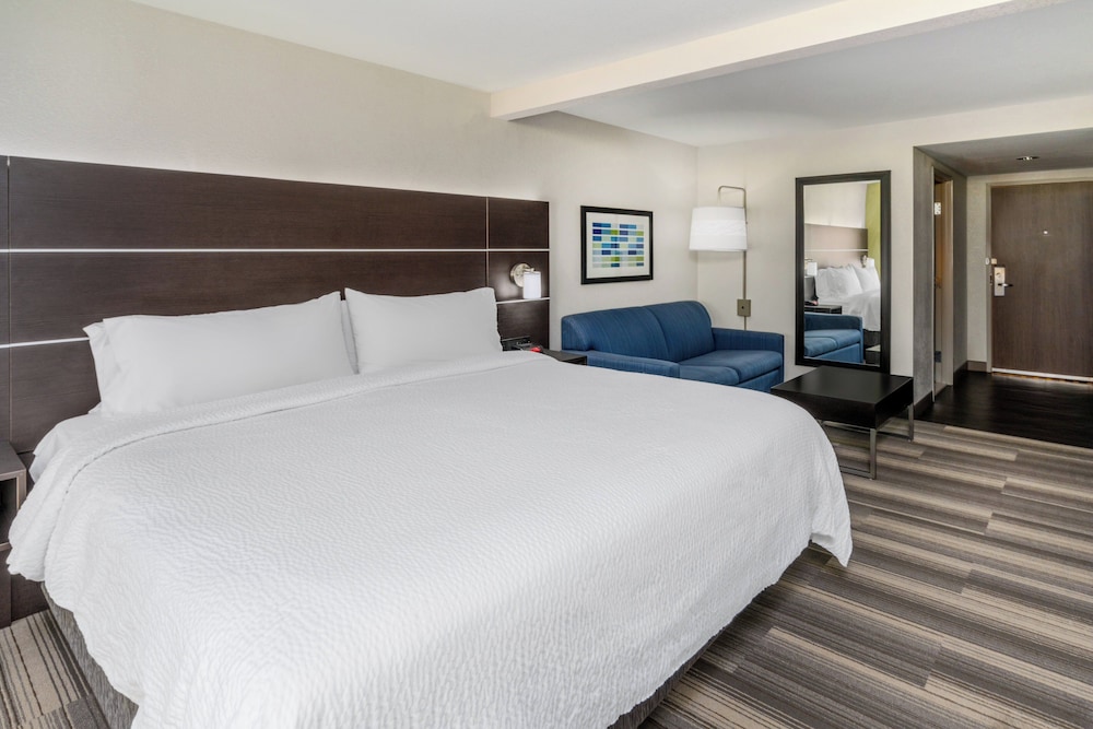 Suite, 1 King Bed - Photo 4