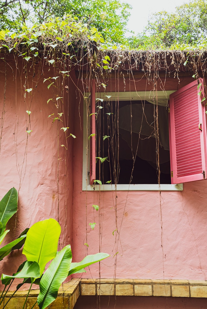 Deluxe Bungalow photo 2