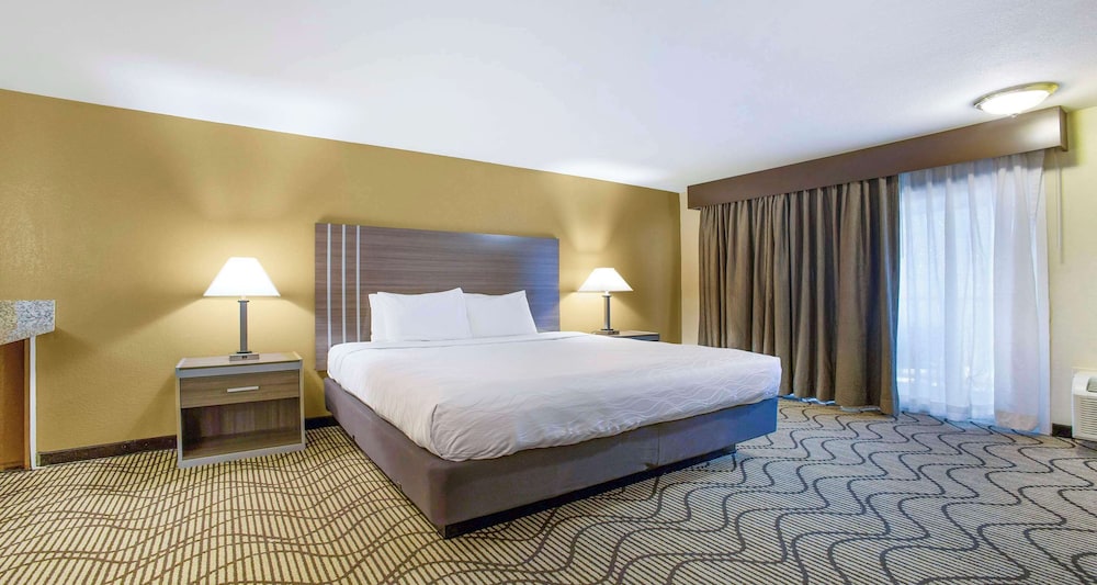 Standard Room, 1 King Bed, Non Smoking, Refrigerator & Microwave photo 3