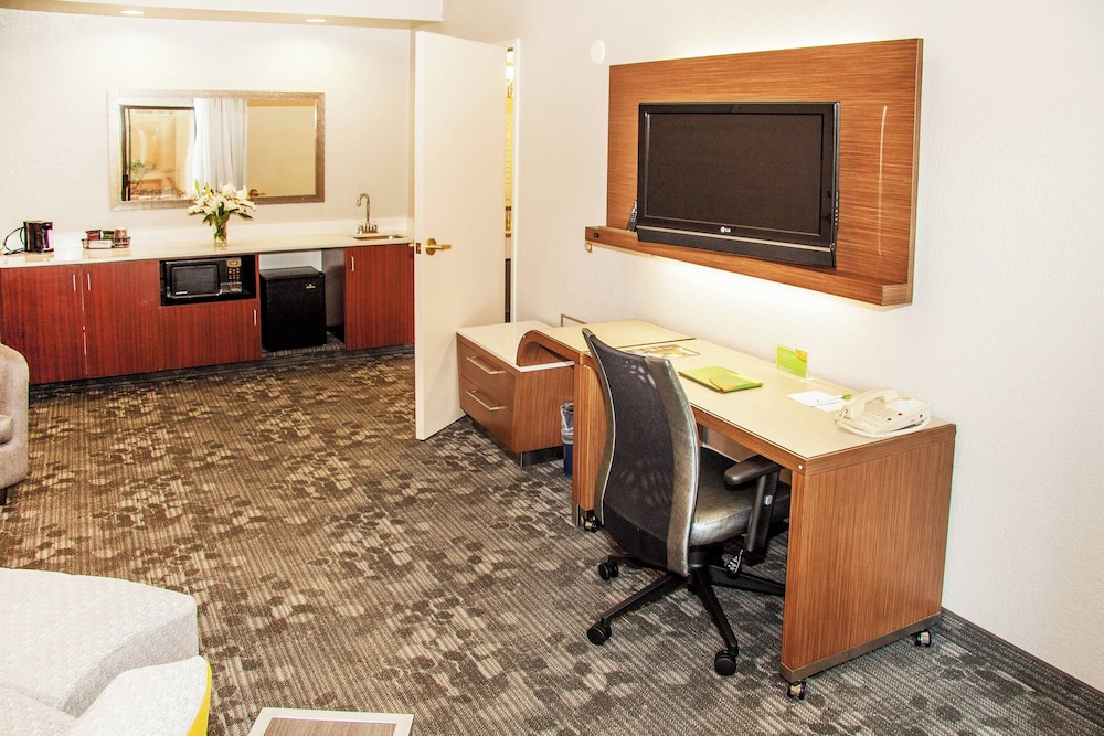 Suite, 1 Bedroom, Courtyard View (Hearing Accessible), photo 6
