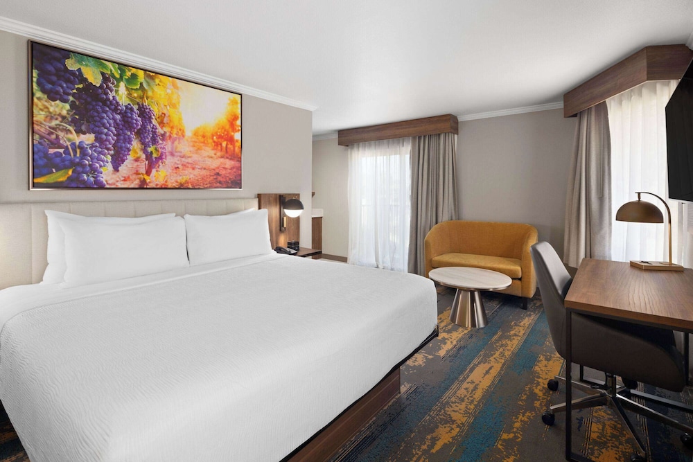 Studio Suite, 1 King Bed, Non Smoking - Photo 1