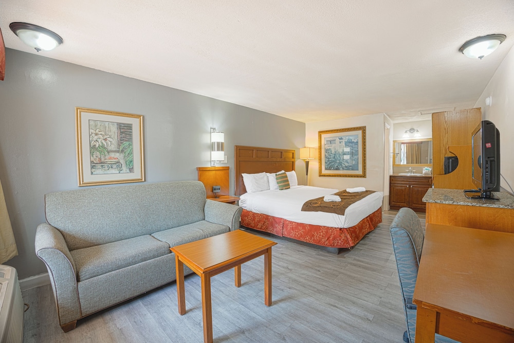 Standard Room, 1 King Bed, Non Smoking photo 1