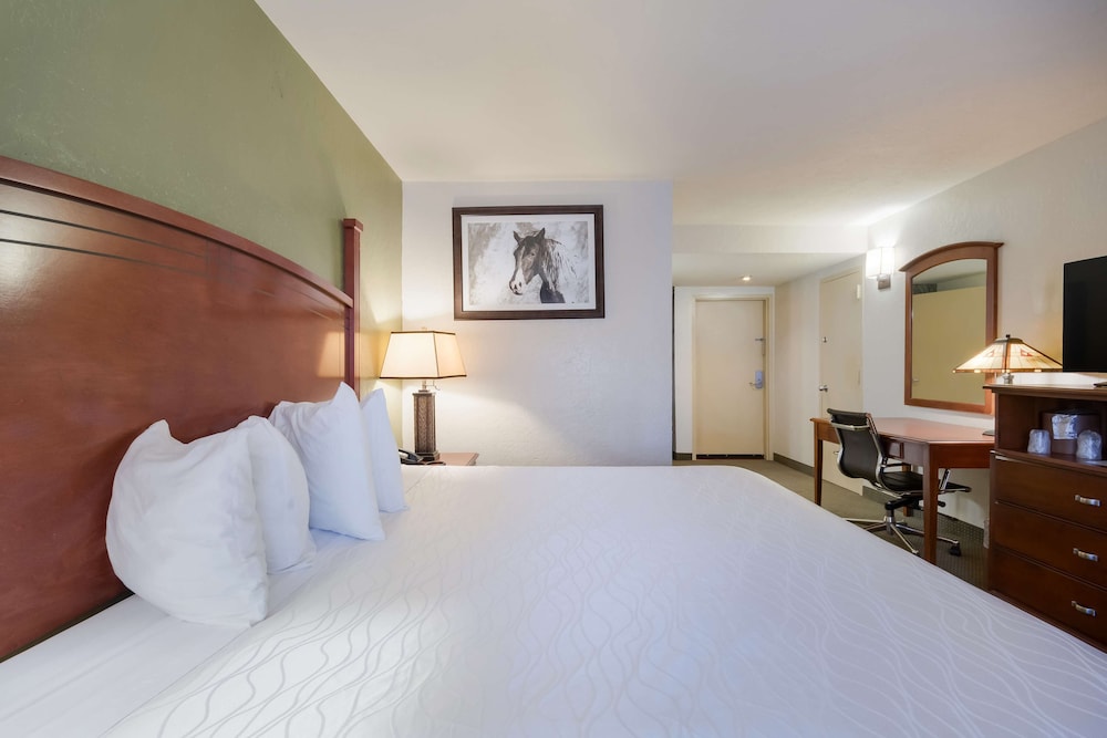 Standard Room, 1 King Bed, Accessible, Non Smoking photo 2