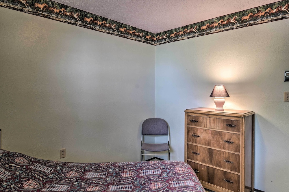 Apartment (1 Bedroom) photo 3