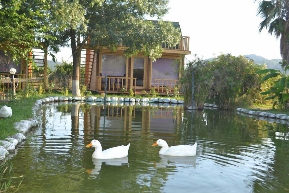 Bungalow, Garden View, Lakeside