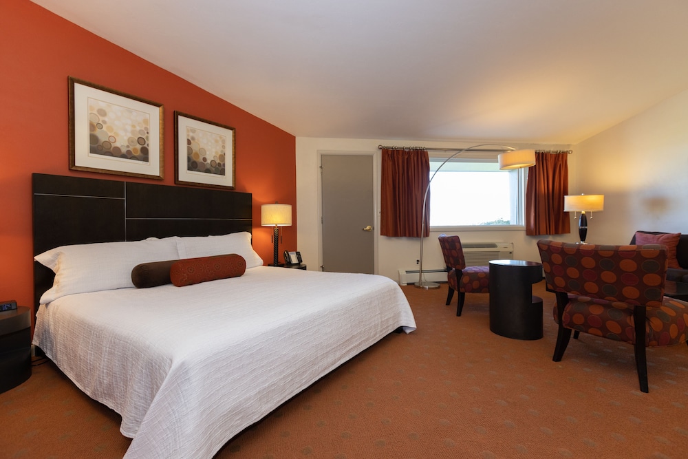 Deluxe King Lodge Room photo 3