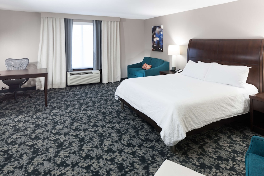 Room, 1 King Bed, Accessible (Mobility & Hearing, Roll-in Shower)