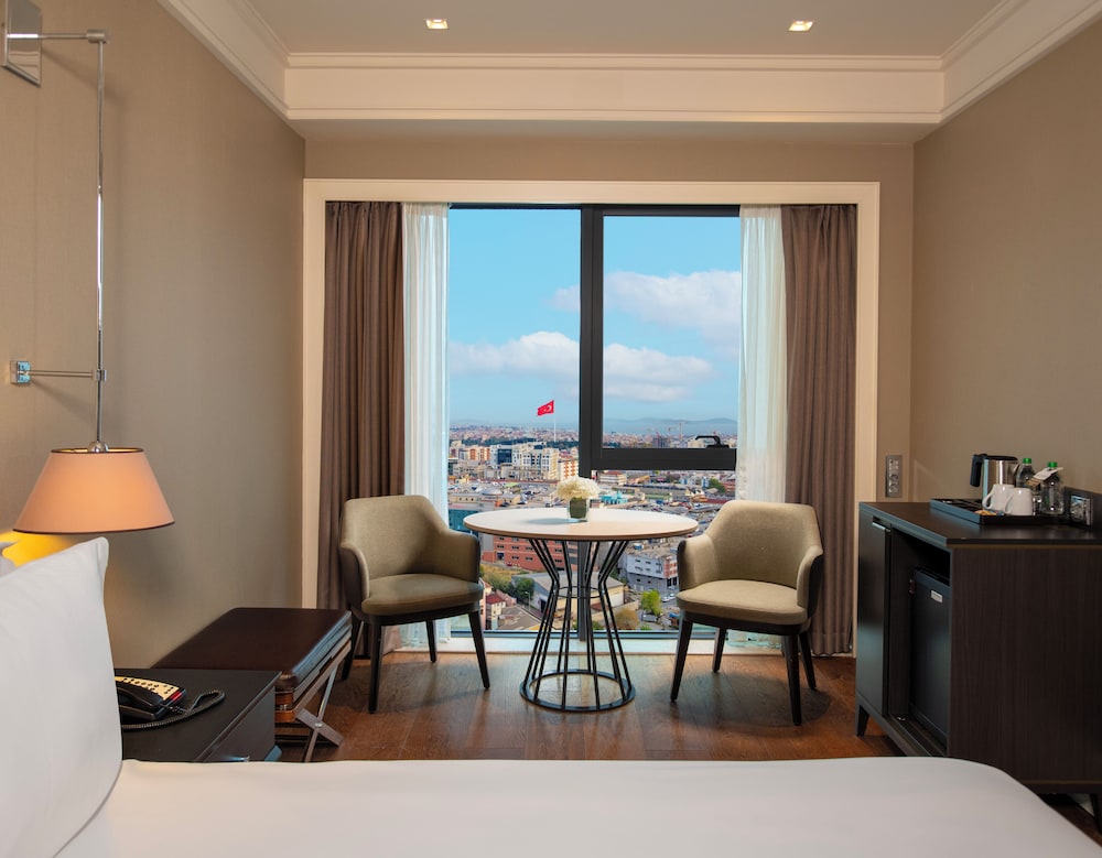 Executive French Room with City View photo 3
