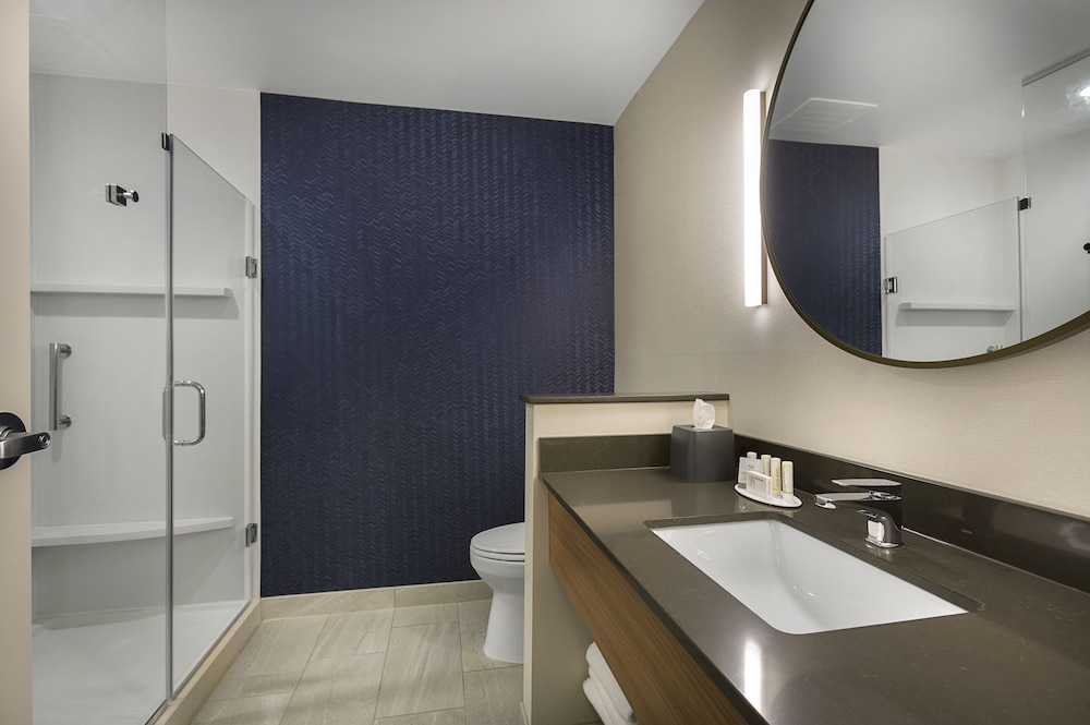 Room, 1 King Bed (Mobility Accessible, Roll-in Shower) - Photo 3