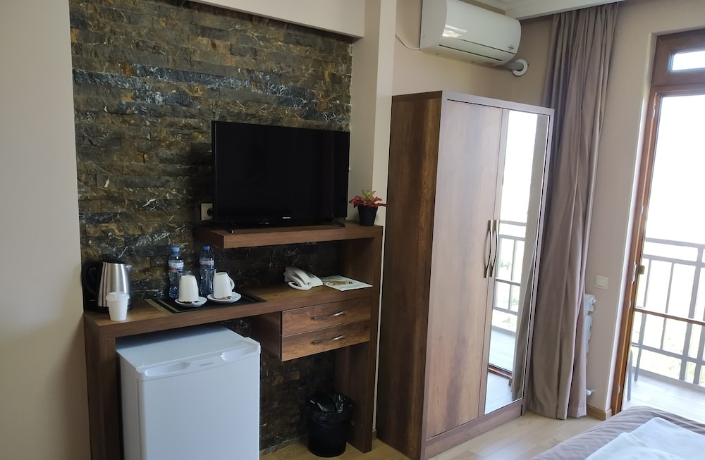Deluxe Double or Twin Room photo 1