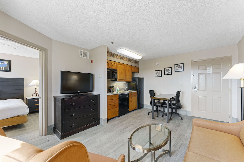 Premium Apartment photo 1
