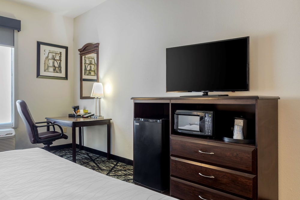 Standard Room, 1 King Bed, Non Smoking, Refrigerator & Microwave photo 2