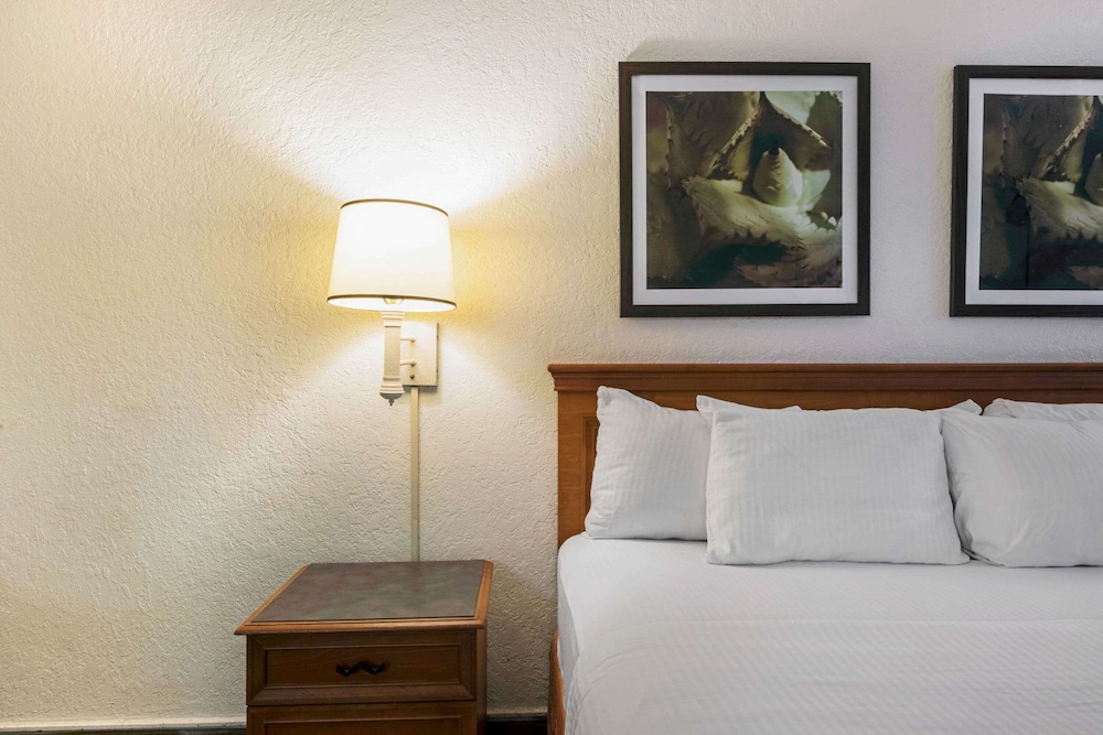 Deluxe Room, 1 King Bed, Non Smoking