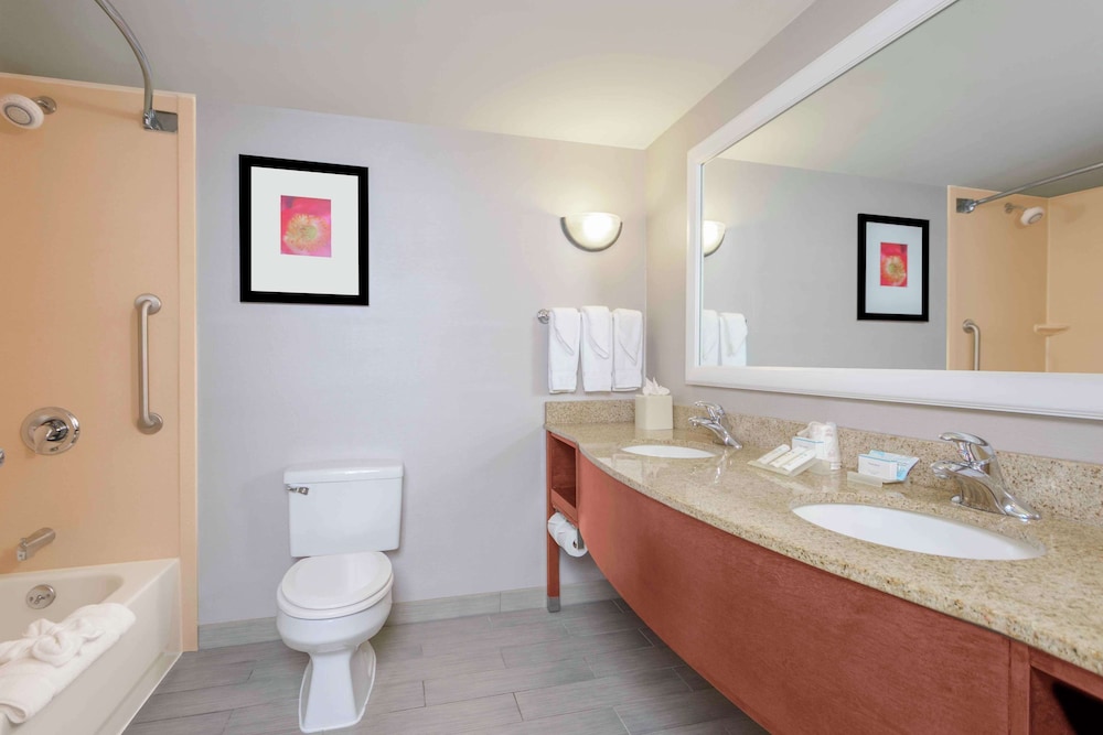 Junior Suite, 1 King Bed, Accessible, Bathtub - Photo 5