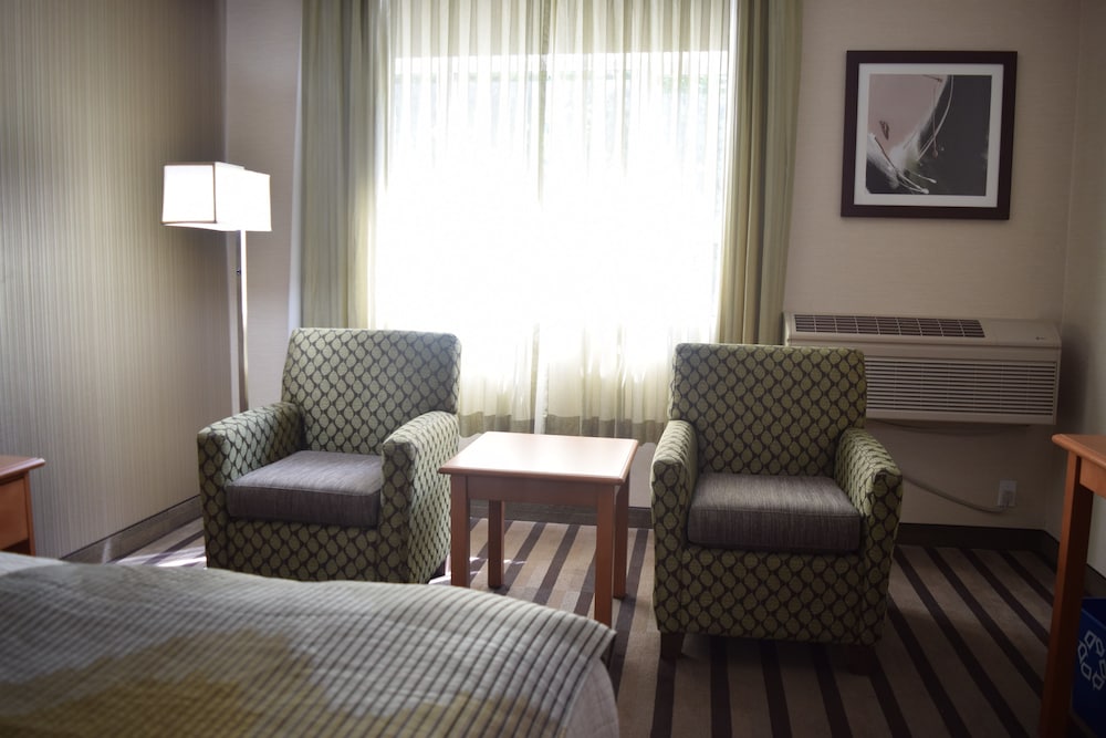 Standard Room, 1 King Bed, Non Smoking, Poolside (1st Floor;with Sofabed) - Photo 1