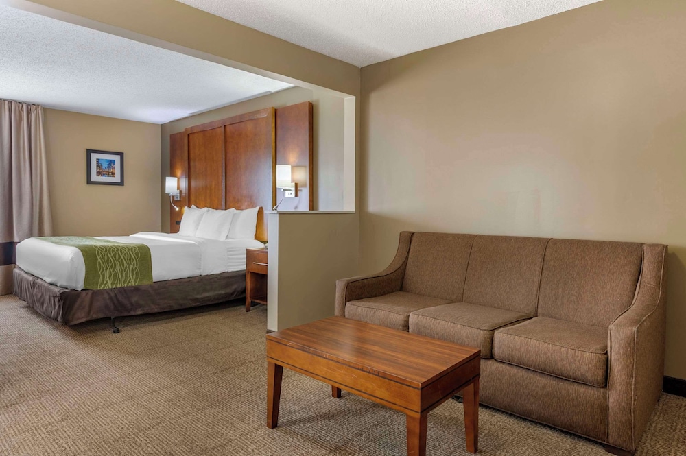 Suite, 1 King Bed with Sofa bed, Non Smoking - Photo 1