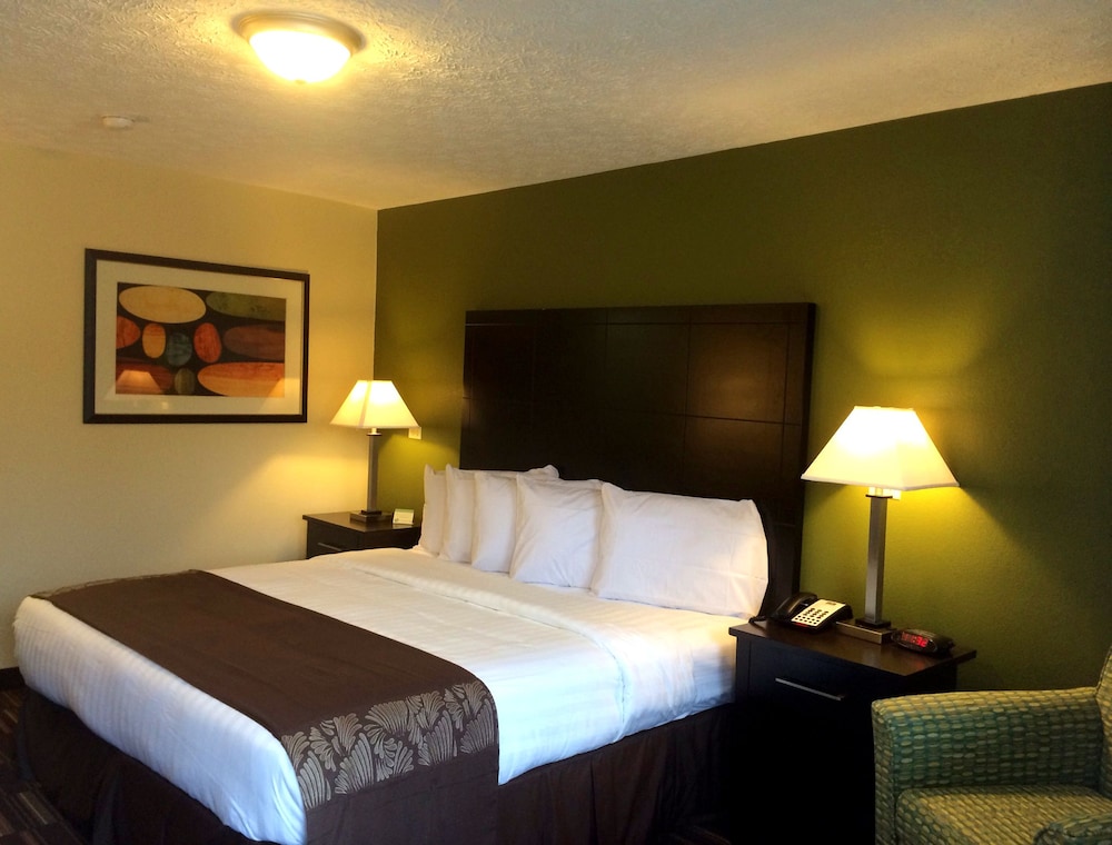 Room, 1 King Bed, Accessible Benched Tub, Non Smoking - Photo 1