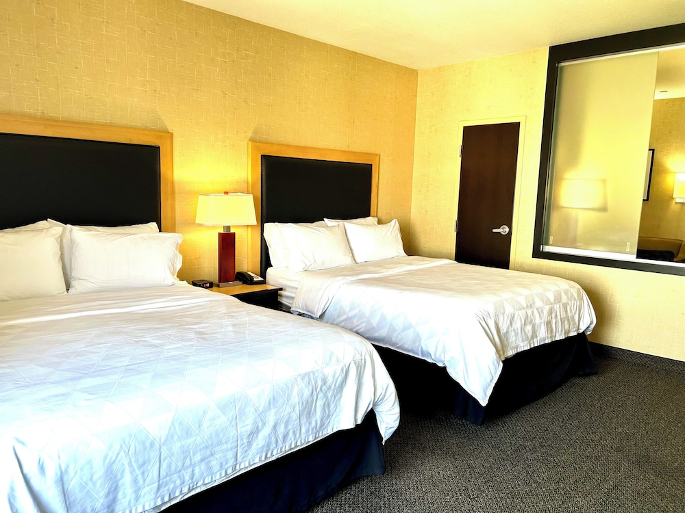 Suite, 1 Bedroom photo 3