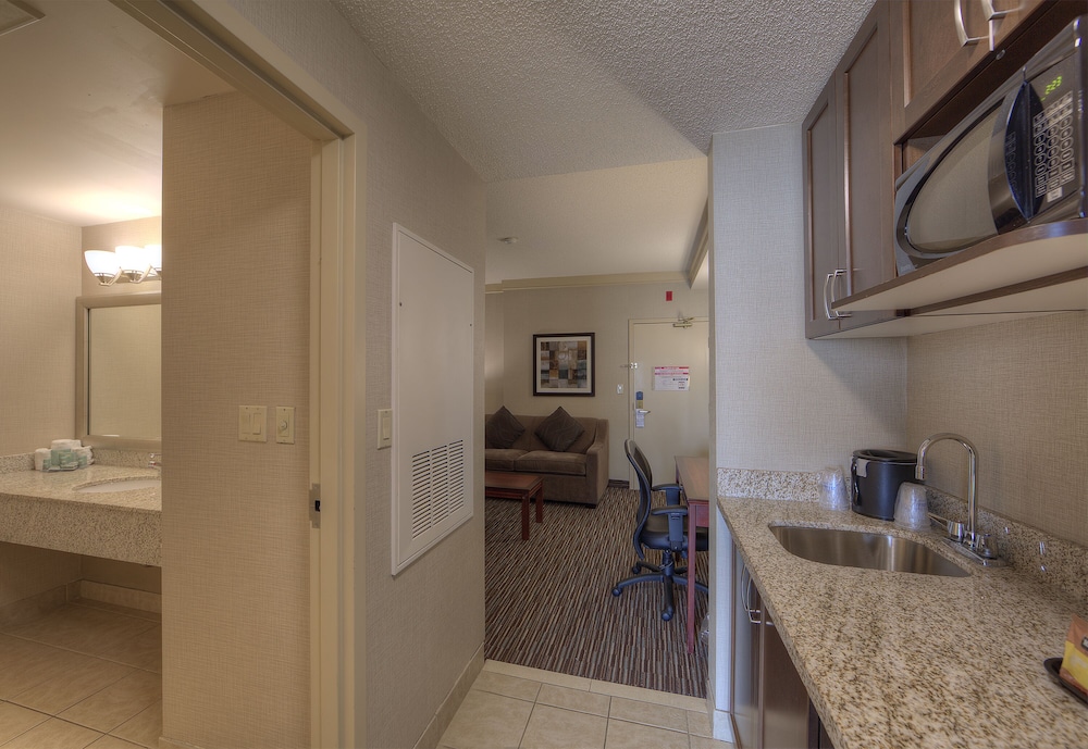 Suite, 1 King Bed, Non Smoking, Refrigerator & Microwave (with Sofabed) - Photo 9