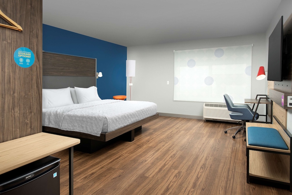 Room, 1 King Bed, Accessible (Roll-In Shower, Mobility & Hearing) photo 2
